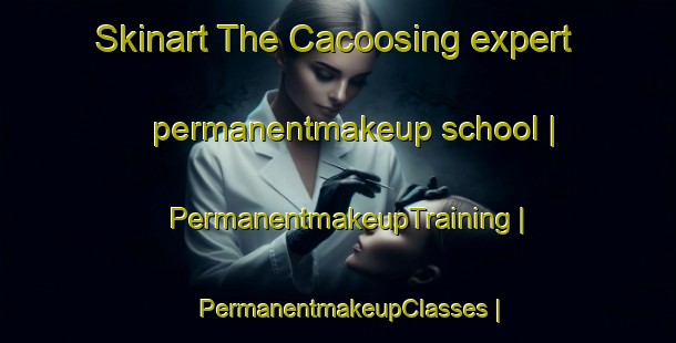 Skinart The Cacoosing expert permanentmakeup school | PermanentmakeupTraining | PermanentmakeupClasses | SkinartTraining-United States